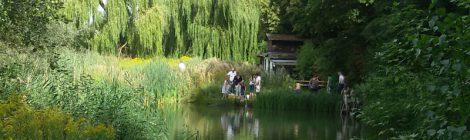 19.08. - TdoT: Badebornteich