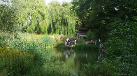 Badebornteich