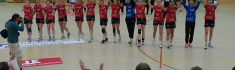 HSG Hannover-Badenstedt - Saison beendet!