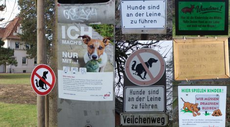 Anleinpflicht für Hunde: 1. April bis 15. Juli!