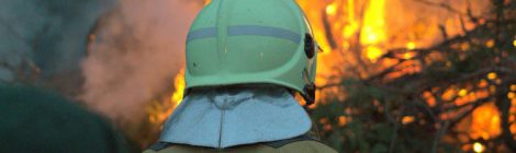 11.09.2025 - Brand zerstört Anbauten einer Gartenlaube