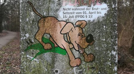 Alle Jahre wieder...