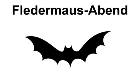 Fledermaus-Abend mit dem VCP!