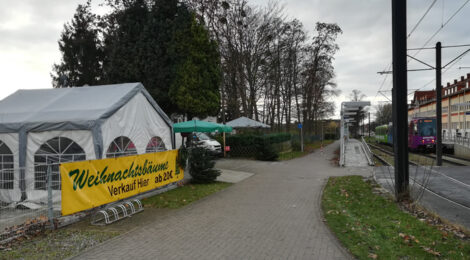 Tannenbaumverkauf in Badenstedt