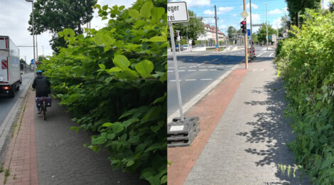 Radweg wieder passierbar!