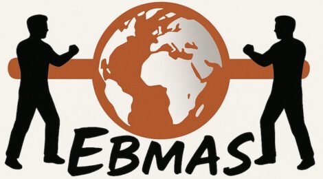 Ebmas Kampfkunstschule Badenstedt