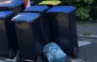 Blaue Tonne nur noch 14-tägig