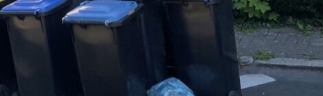 Blaue Tonne nur noch 14-tägig