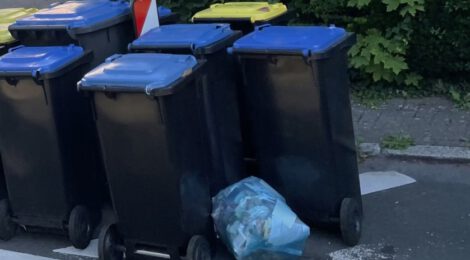 Blaue Tonne nur noch 14-tägig