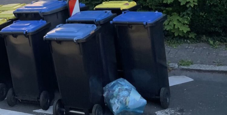 Blaue Tonne nur noch 14-tägig