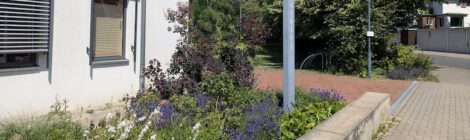 22.11.25: Pflanz- und Aktionstag in der Paul-Gerhardt-Gemeinde