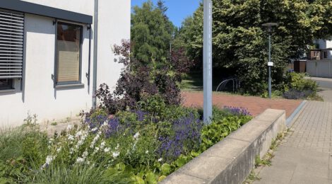 22.11.25: Pflanz- und Aktionstag in der Paul-Gerhardt-Gemeinde