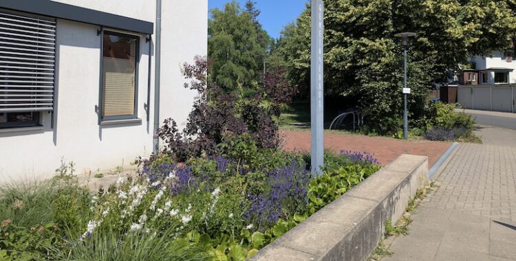 22.11.25: Pflanz- und Aktionstag in der Paul-Gerhardt-Gemeinde