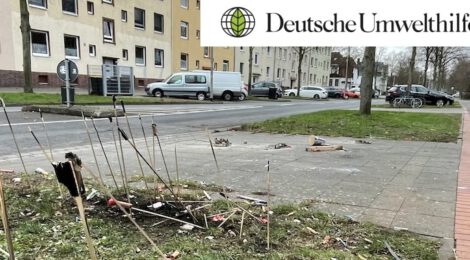 Brief an den Oberbürgermeister...