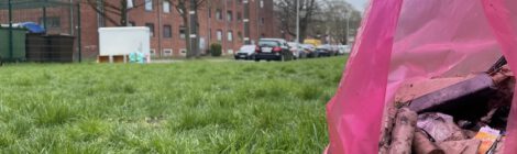 Putzmunter in Körtingsdorf