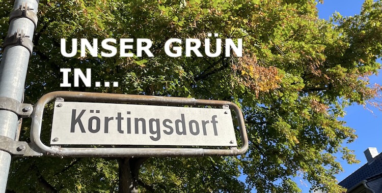 Wie geht es mit dem Sanierungsgebiet Körtingsdorf weiter?